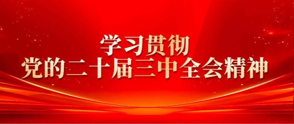 學(xué)習(xí)貫徹黨的二十屆三中全會精神③ 濟(jì)糧集團(tuán)黨委書記、董事長王暉： 提升綠色倉儲水平，扛穩(wěn)糧食安全重任